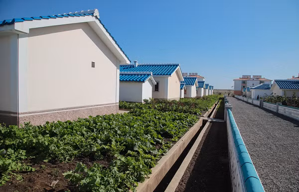Nông trại Jangchon được ví như một bức tranh.