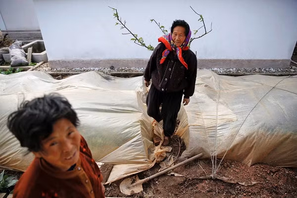 Nông dân làm việc trên một cánh đồng ở ngoại ô Bình Nhưỡng trong mùa đông.