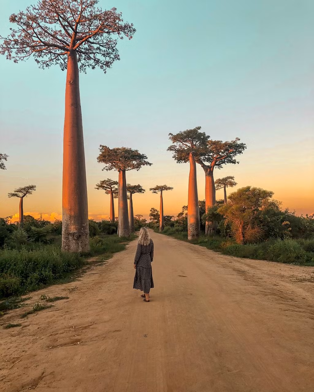 Bạn sẽ nhìn thấy rất nhiều cây baobab to lớn, có tuổi thọ khoảng 800 năm mọc 2 bên đường. Con người trở thành loài vật tí hon, nhỏ bé khi đứng giữa thiên đường của cây baobab khổng lồ, cao đến hàng chục mét. Ảnh: Kristinarff.