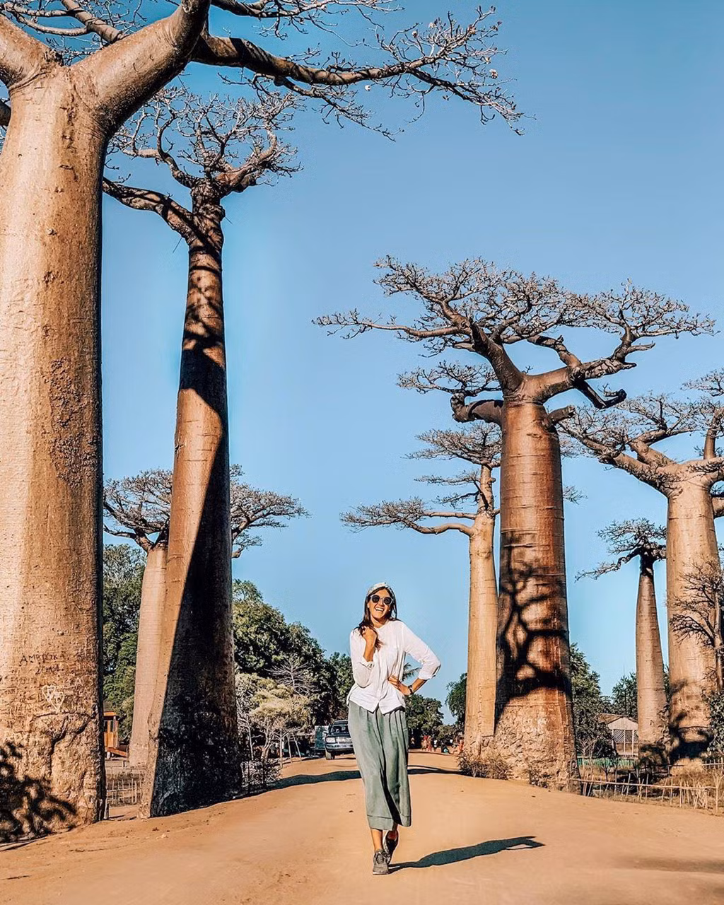 Con đường nổi tiếng này nằm phía tây Madagascar, trên một vùng đất rộng lớn với thảm thực vật phong phú và loài baobab linh thiêng sinh trưởng, phát triển trong sự bảo tồn của người dân. Ảnh: Anna.avuziak.