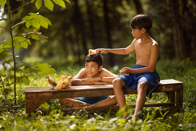 Có những khi bình yên cũng là một tên gọi khác của niềm vui trong bức ảnh chụp 2 cậu bé Indonesia cùng những chú vịt con.