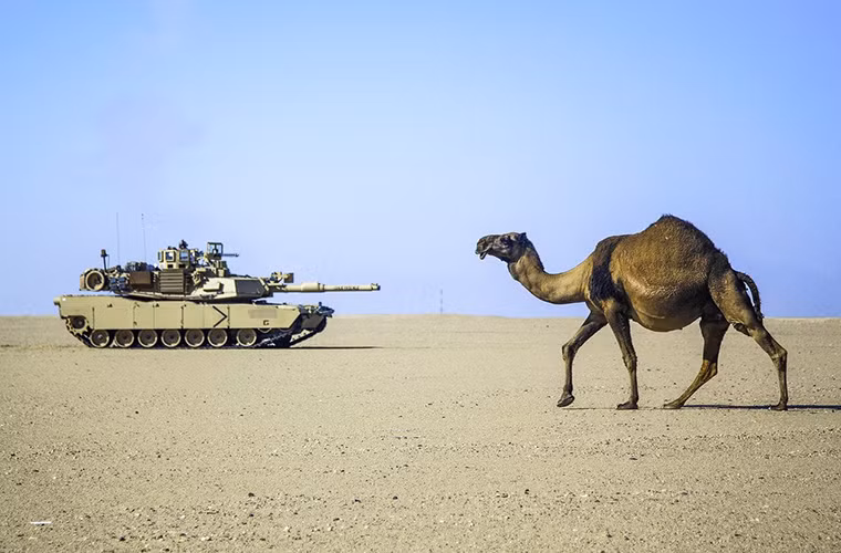 Không chỉ Quân đội Mỹ mà khá nhiều quốc gia khác trên thế giới cũng sử dụng M1 Abrams với nhiều biến thể khác nhau như Iraq, Saudi Arabia, Ai Cập và Australia.