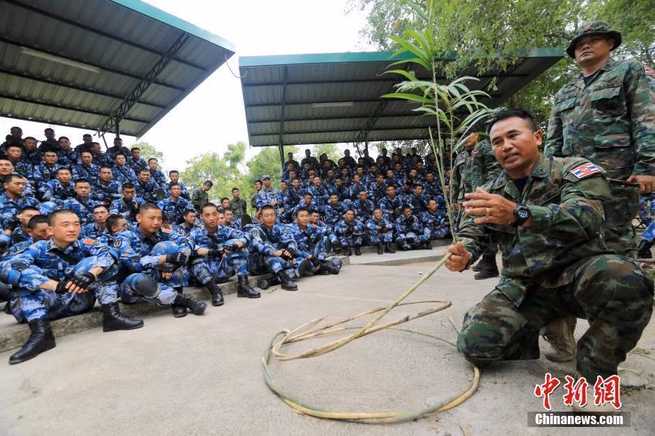 Việc tận dụng ngay những cây rừng để làm bẫy và các dụng cụ hữu ích khác là hết sức cần thiết cho các binh sĩ thủy quân lục chiến vùng nhiệt đới (Nguồn: Chinanews.com).