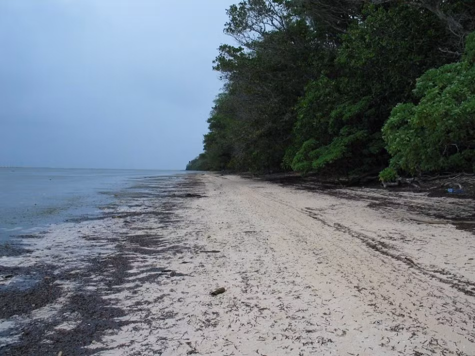 Bãi biển cam của Peleliu, nơi từng là mũi tấn công của Trung đoàn số 5 và số 7 của Thủy quân lục chiến Mỹ (Nguồn: Sina).
