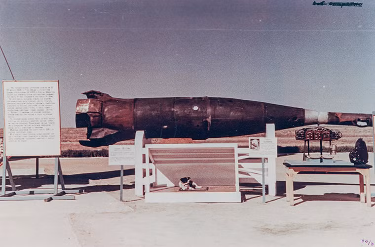 Sau P-2A vào năm 1958 Liên Xô ra đời biến thể tên lửa đẩy P-5A mang theo hai chú chó Belyanka và Motley thực hiện chuyến bay ở độ cao 453.000m. Tuy nhiên vào thời điểm đó các nhà khoa học Liên Xô lại không đưa ra được báo cáo đầy đủ về tác động của một chuyến du hành không gian đối với các sinh vật sống.