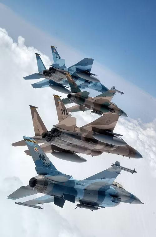 Biên đội tiêm kích hỗn hợp F-15 và F-16 của Hải quân Mỹ với các màu sơn ngụy trang cơ bản.