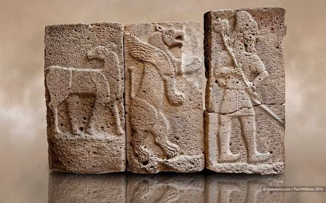 Các nhà khoa học kết hợp các phòng thí nghiệm để xem xét kỹ lưỡng các mẫu từ Midas Mound Tumulus tại Gordion, một cấu trúc nhân tạo cao 53m nằm ở phía tây Ankara, Thổ Nhĩ Kỳ. Gò chứa một cấu trúc bằng gỗ được cho là nơi chôn cất một người họ hàng của Vua Midas, có thể là cha của ông.