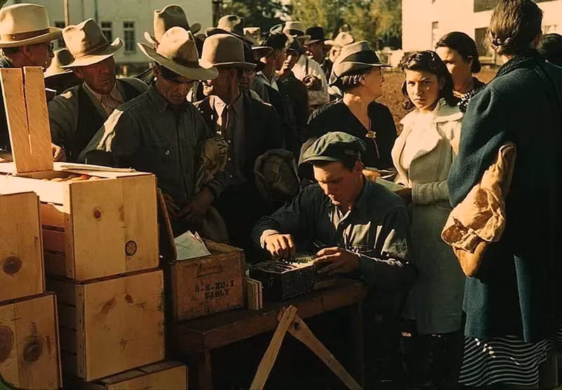 Phân phối hàng hóa ở St. Johns, AZ, 1940.