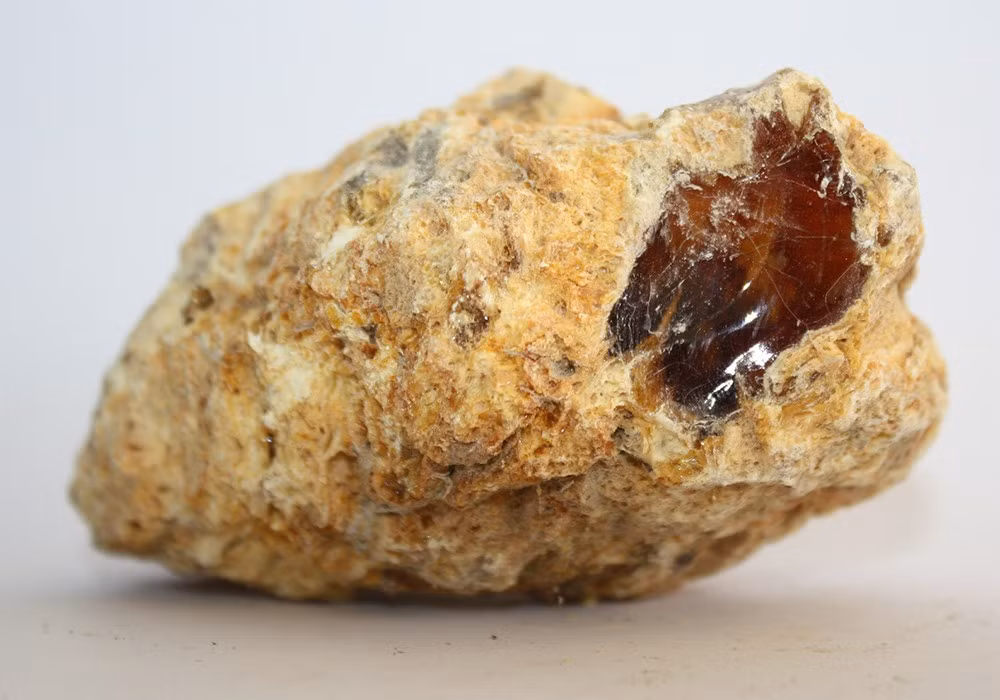 Long diên hương ban đầu có mùi hôi, nhưng sau khi khô lại, nó tỏa ra mùi hương dịu ngọt và lâu tan. Điều này khiến long diên hương trở thành nguyên liệu quý trong ngành công nghiệp sản xuất nước hoa.
