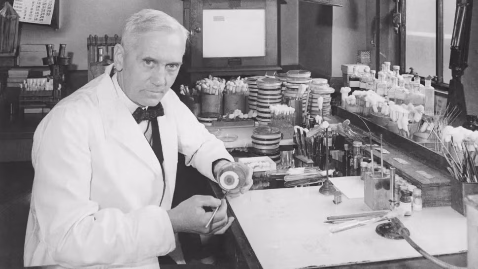 Thứ 8: Penicillin. Đây là một trong những phát minh nổi tiếng nhất trong lịch sử. Năm 1928, nhà khoa học người Scotland Alexander Fleming nhận thấy một chiếc đĩa Petri chứa đầy vi khuẩn trong phòng thí nghiệm của mình đã bị nhiễm nấm mốc.