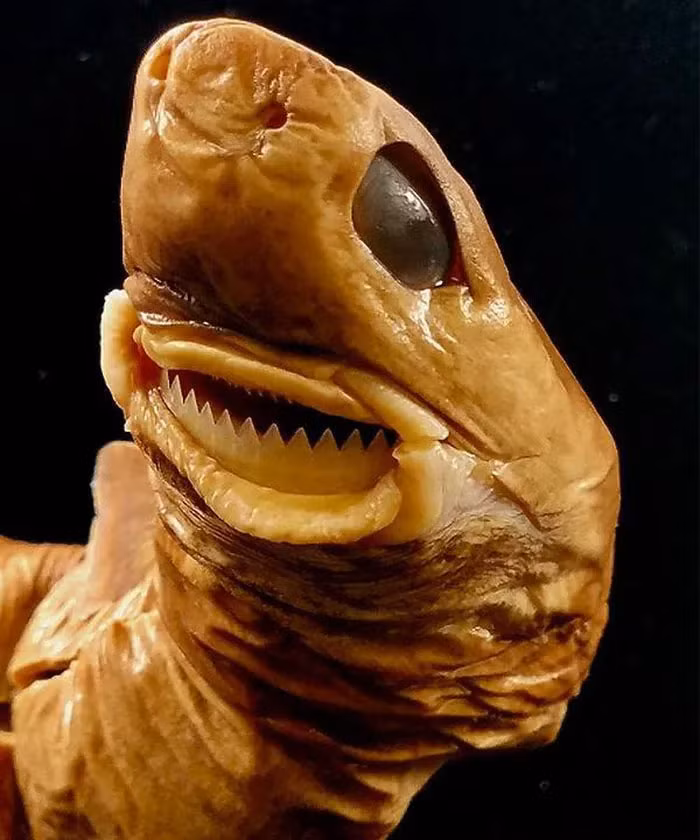 Trong đó, phỏng đoán phổ biến nhất là cá mập xì gà (Isistius brasiliensis).