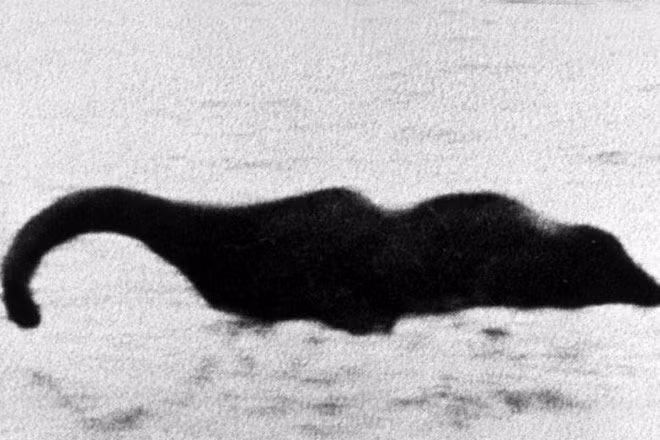 Ước tính kích thước của Nessie được chụp trong bức ảnh là 2,4 mét và ước tính kích thước của Nessie nói chung tới 6,1 mét. Floe Foxon, nhà khoa học dữ liệu của Hiệp hội Pinney và Hiệp hội Động vật học Dân gian, nhận thấy khó có thể tìm được một con lươn có kích thước khổng lồ như vậy.