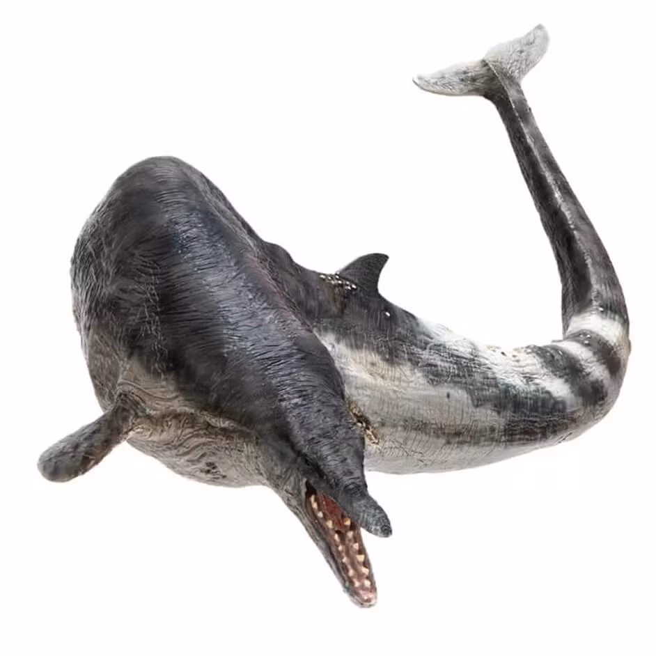 Tuy nhiên sau nhiều nghiên cứu, người ta đã xếp nó vào chi cá voi. Basilosaurus trung bình dài khoảng 18 m và được coi là một trong những loài động vật lớn nhất trong thời đại của chúng.