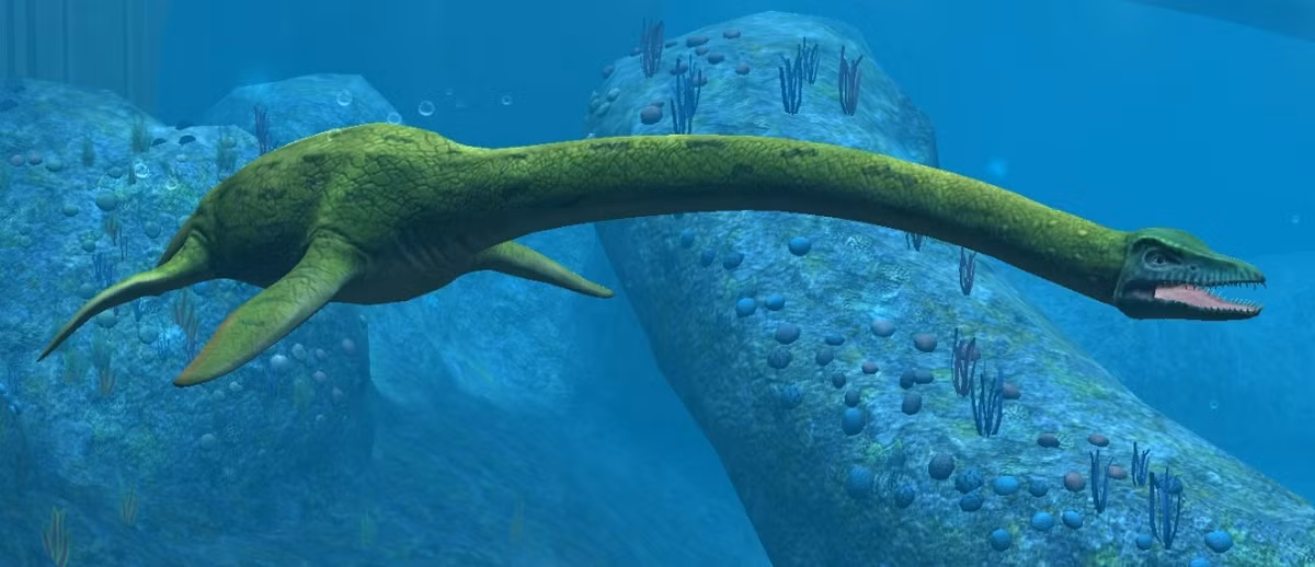 5. Mauisaurus. Mauisaurus là một trong những sinh vật thời tiền sử sống trong thời Kỷ Phấn Trắng (khoảng 80 đến 69 triệu năm trước). Đây có lẽ là loài bò sát đại dương lớn nhất ở vùng biển New Zealand, với chiều dài cơ thể lên tới hơn 8 mét.