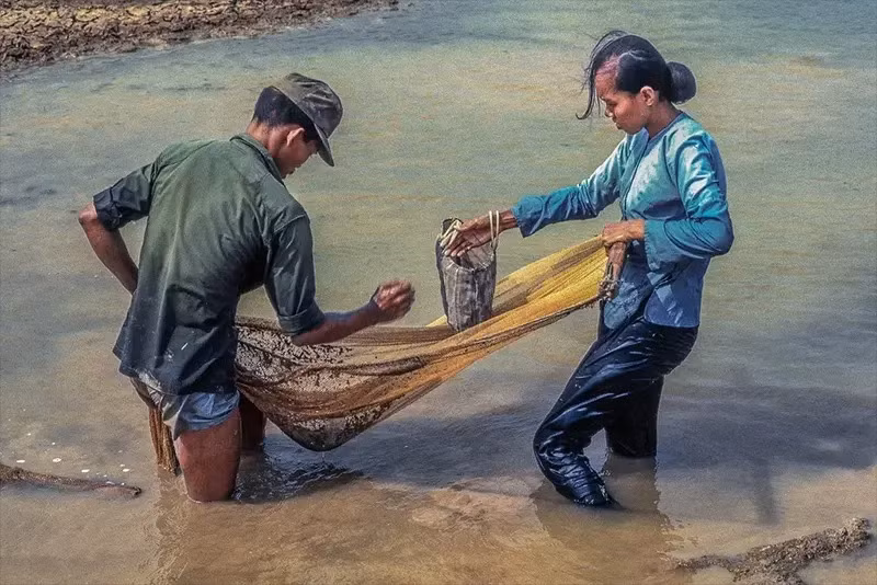 Màng lọc những con cá cuối cùng từ các ao khô nước mưa ở xã Bình Đức phía tây Mỹ Tho năm 1969.