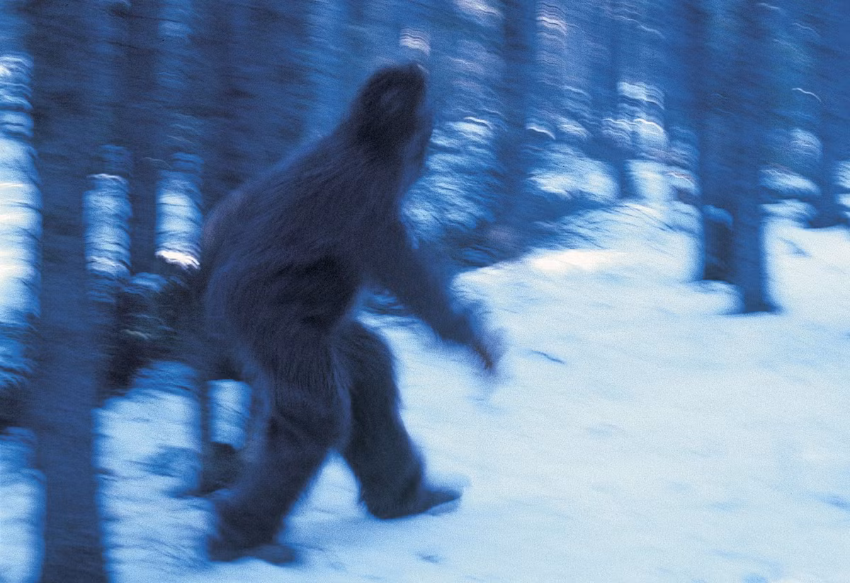 Nhiều người lợi dụng nhiễu loạn thông tin về Bigfoot để làm phức tạp thêm vấn đề về sự thật của Sasquatch. Hàng chục người đã thừa nhận việc làm giả các bản in, ảnh của Bigfoot và gần như mọi loại bằng chứng khác về Bigfoot.