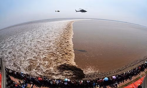 Sóng triều thường đạt đỉnh vào khoảng từ ngày 15 đến 18 lịch âm hàng năm, tạo ra vô số cảnh tượng tuyệt vời cho du khách thưởng thức.