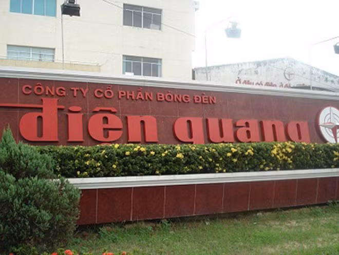 Nguyen Thu Truong Ho Thi Kim Thoa vuong sai pham gi o Cty Dien Quang?-Hinh-2