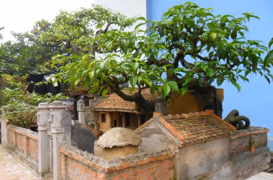 Ấn tượng về nét quê kiểng, mái nhà xưa và những gì thuộc về cổ xưa như cây đa, giếng nước, sân đình, vì vậy anh Nguyễn Ngọc Quý đã quyết định mua lại tiểu cảnh. Ảnh chụp tác phẩm năm 2014: FBNV.