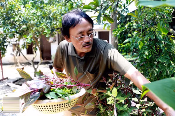 Danh hài trồng rau, cây ăn quả và thích thú thu hoạch những sản phẩm do chính bàn tay mình chăm bón hàng ngày.
