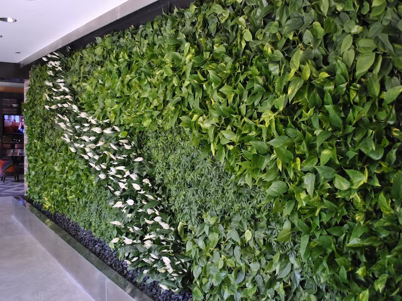 Giảm độ phát xạ của bề mặt công trình bằng cây cối, nhưng để tiết kiệm diện tích nên trồng các loại dây leo trên tường (dùng dây treo hoặc lưới thép để cố định cây), thiết kế vườn rau sạch hoặc cây cảnh trên mái để giảm nhiệt.