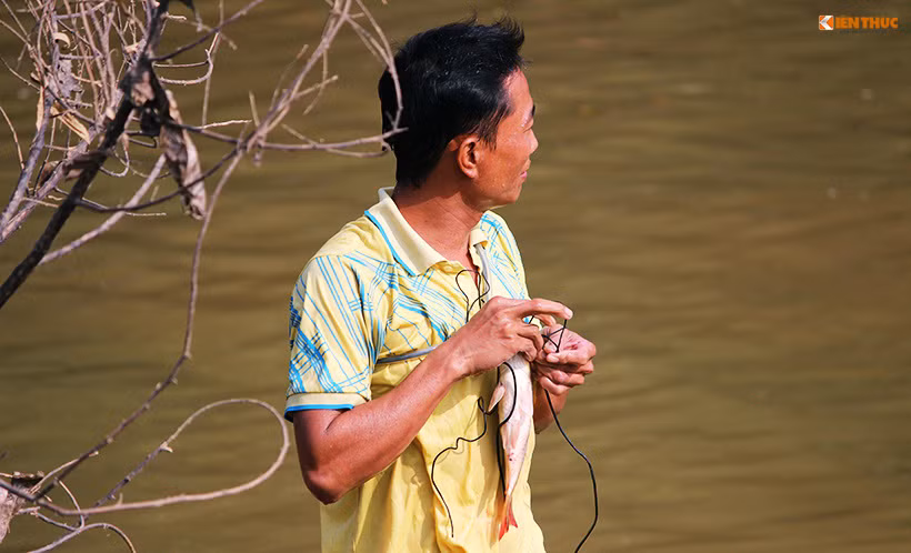 Những người tham gia dậm cá đều không phải là dân chài lưới, họ cho biết, truyền thống này có từ thời xa xưa ở làng.