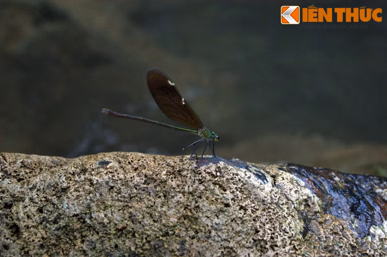 Đây là một điểm đến còn hoang sơ, rất phù hợp với loại hình du lịch leo núi, cắm trại và nghỉ dưỡng.