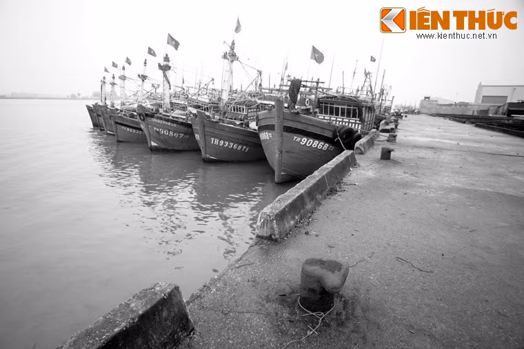 Sau chiến thắng lịch sử Điện Biên Phủ năm 1954, đất nước ta tạm thời bị chia cắt làm 2 miền. Cán bộ, chiến sỹ miền Nam đã tham gia kháng chiến chống pháp được tập kết ra Bắc. Cảng Lạch Hới được giao nhiệm vụ là địa điểm duy nhất đón đồng bào miền Nam tập kết ra Bắc. Ảnh: Cảng Lạch Hới ngày nay.