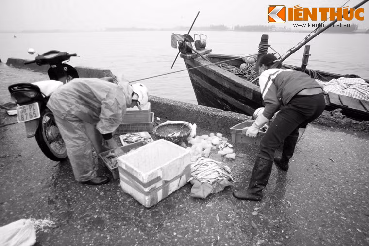 Ngày nay, cảng cá Lạch Hới đã được đầu tư xây dựng trở thành một trong những bến cảng, khu dịch vụ hậu cần nghề cá lớn nhất của tỉnh Thanh Hóa.