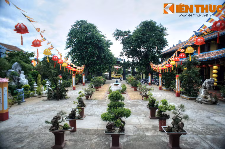 Nằm ở vị trí trung tâm đô thị cổ Hội An nên chùa thường đón rất nhiều Phật tử, du khách trong nước, nước ngoài đến tham quan, lễ bái