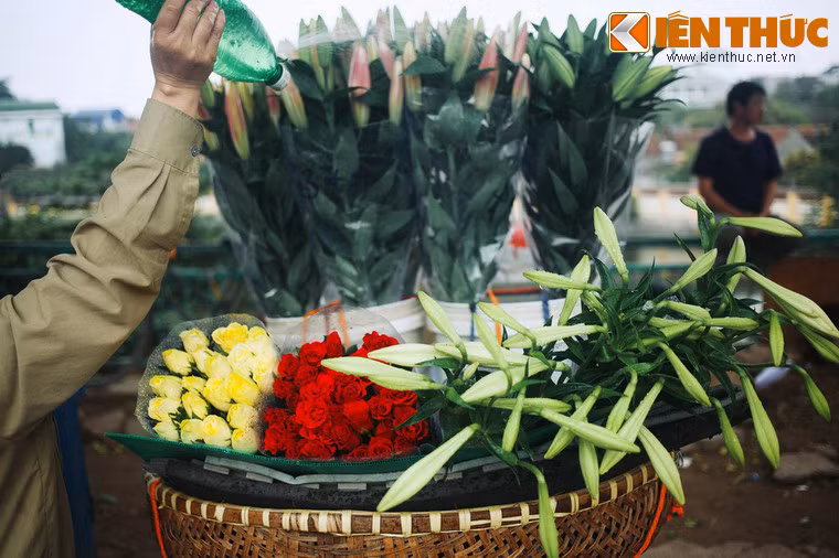 Jack vội ra lệnh cho bọn thủ hạ mang trả lại Lily và chúng phải chỉ cho Lily một nấm mồ, coi như đó là mộ của hắn. Dọc đường, đám thuộc hạ bí mật đem bán chiếc hộp cùng trái tim để lấy tiền tiêu xài nhưng vẫn tìm một nấm mồ và chỉ cho Lily. Lily tin đó là nơi Jack yên nghỉ. Không nỡ để người yêu nằm đó thiếu trái tim, Lily quyết định lấy trái tim của chính mình vùi xuống nấm mồ.