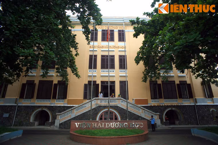3. Tọa lạc tại số 1 đường Cầu Đá, TP Nha Trang, tỉnh Khánh Hòa, Viện Hải dương học Nha Trang là một viện nghiên cứu đời sống động thực vật hải dương lớn nhất của Việt Nam. Bên cạnh hoạt động nghiên cứu, đây còn là một bảo tàng lưu trữ hiện vật biển lớn bậc nhất Đông Nam Á.