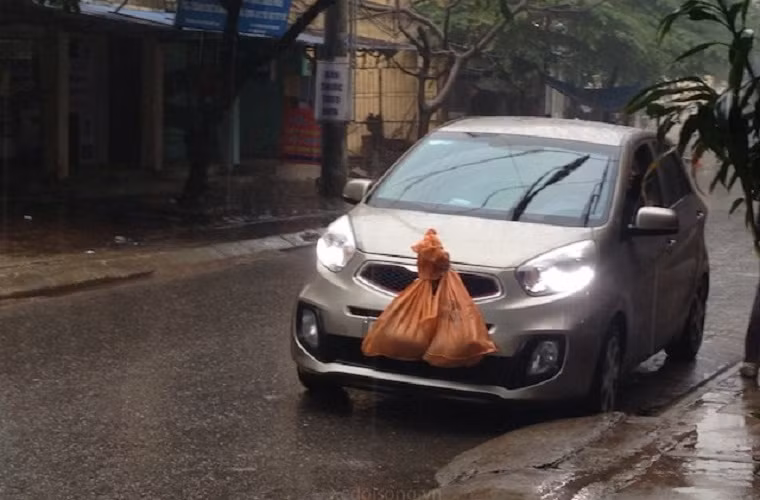 Trời mưa lạnh nên phải bịt khẩu trang không thì hắt hơi, xổ mũi