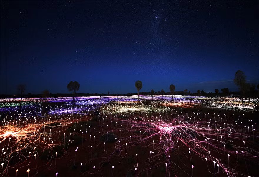 Dự án nghệ thuật từ những bóng đèn mới nhất của Bruce Munro được đặt tên là "Field of Light" - "Cánh đồng ánh sáng". (Theo Boredpanda)