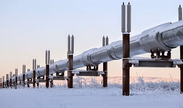 Ít ai biết được rằng, 25% lượng dầu của Mỹ đến từ Alaska.
