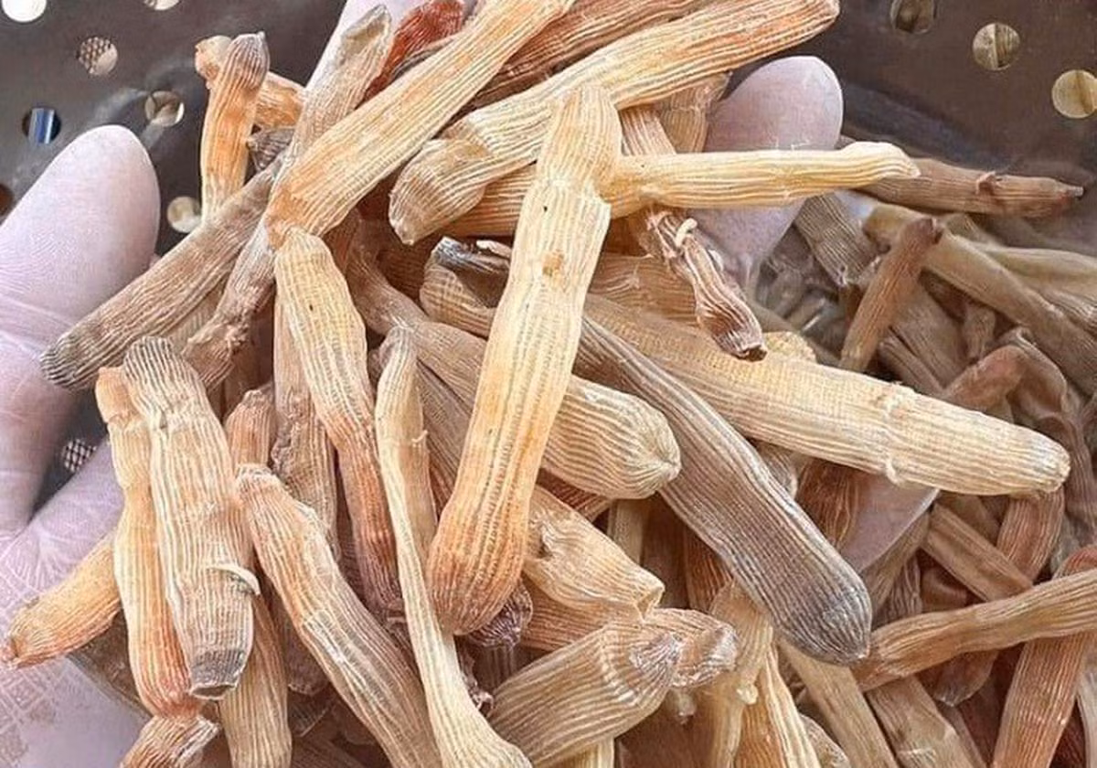 Loại hải sản kỳ dị giống giun giá tới 7 triệu đồng/kg - Hình 2 Loai hai san ky di giong giun gia toi 7 trieu dong/kg-Hinh-2