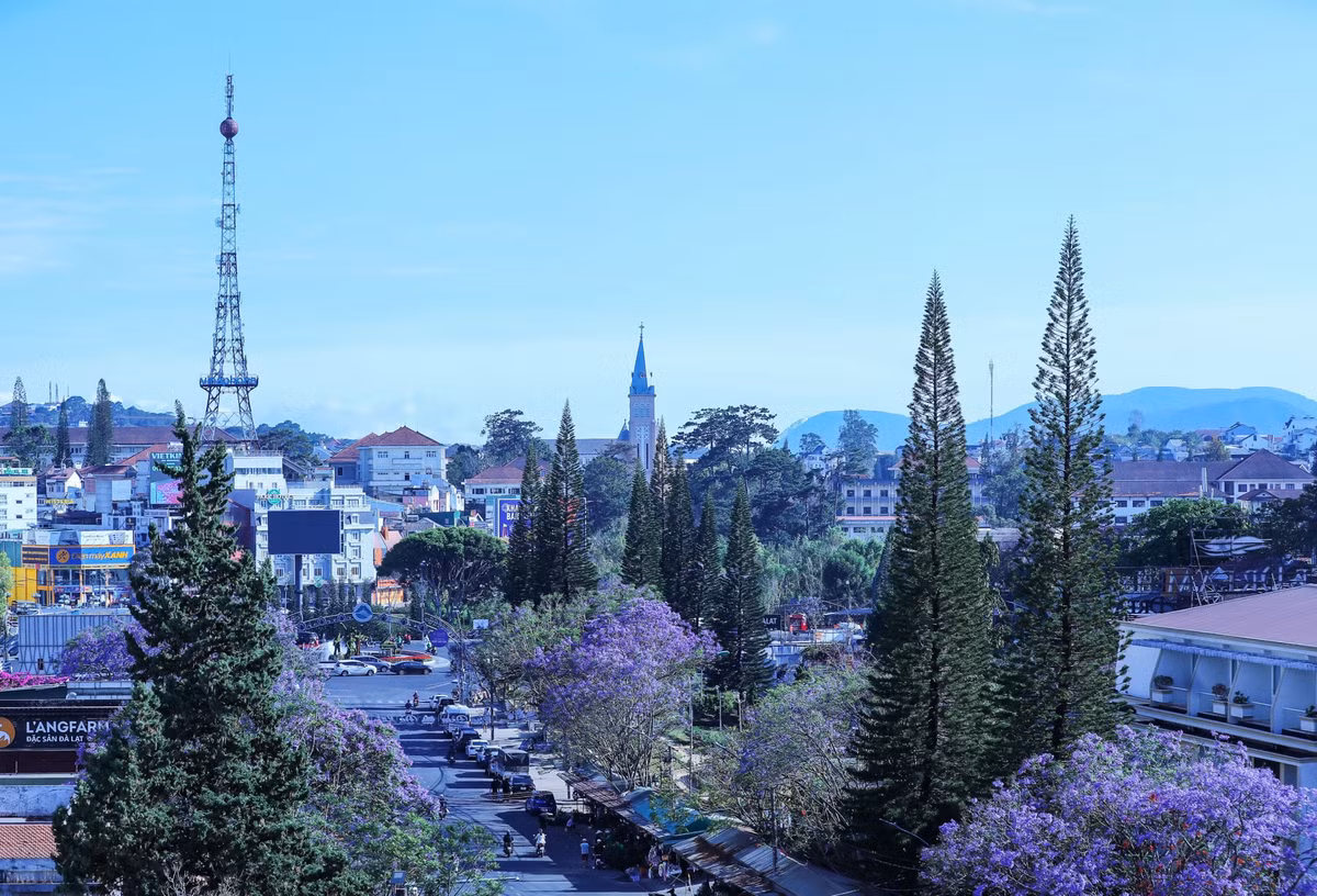 Da Lat mua phuong tim xao xuyen bao trai tim