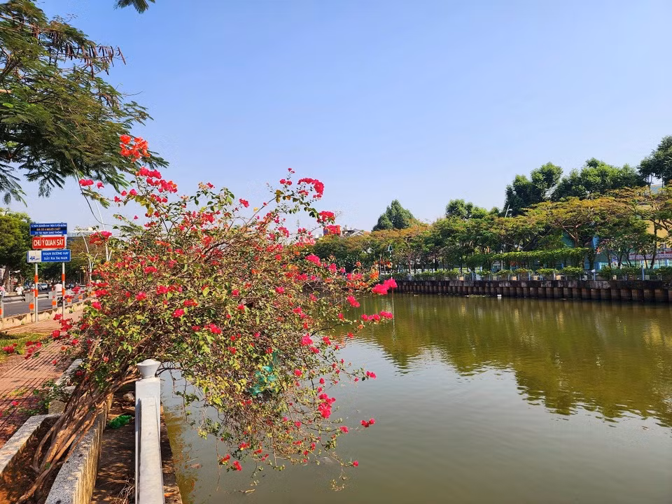 Chị Thu Cúc quê Hà Nội cho biết “chị rất thích mùa này tại TP HCM, mặt trời lên sớm và chiếu nắng trọn vẹn 12 tiếng, mùa có rất nhiều hoa đẹp, giờ này ngoài Bắc lại đang lạnh, nên năm nào cứ tới tháng 3 là cả nhà đi du lịch TP HCM, được đi qua những con đường rực rỡ loài hoa, cảm giác như mình trẻ lại và chill hơn” chị Cúc nói.