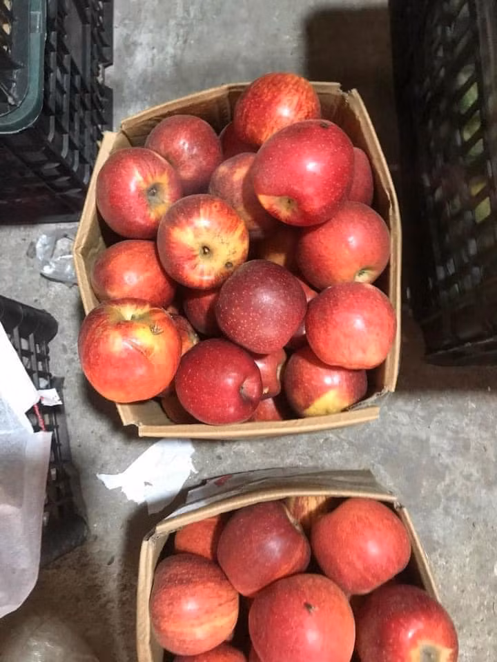 Không có hình thức bắt mắt song táo đá Trung Quốc lại có ưu điểm giòn tan, ngọt, giá rẻ nên cứ vào mùa là hút khách Việt. Ảnh: Facebook