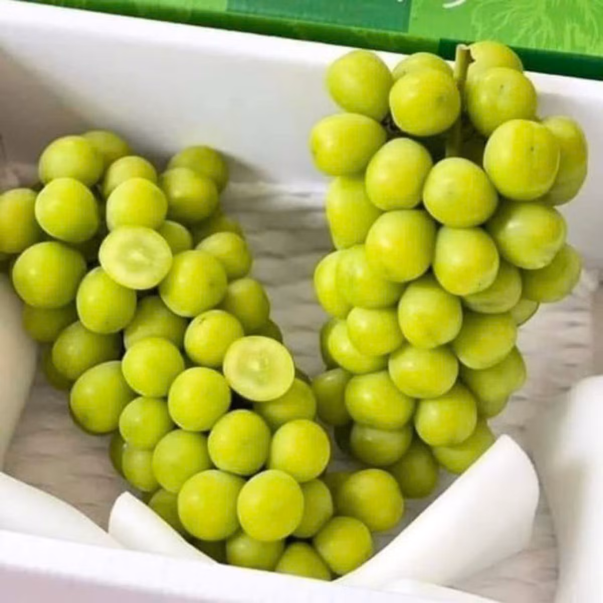 Mỗi chùm nho nặng từ 1-1,5kg, quả to, căng bóng và ngọt thơm. Tuy nhiên, loại nho sữa này chị không bán tách lẻ theo cân mà bán nguyên rành 4,5 đến 10kg. Ảnh: Facebook