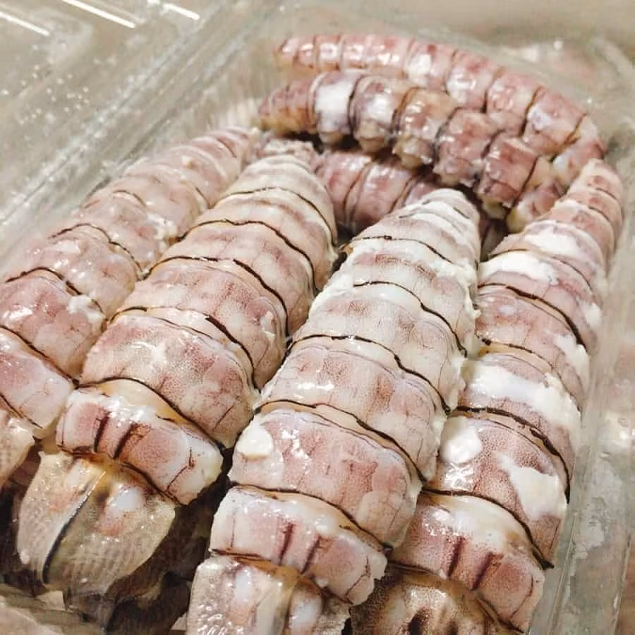 Hiện nay, bề bề là một trong những loại hải sản được ưa thích trên thị trường và có mức giá cao, dao động từ 400.000 - 1,2 triệu đồng/kg, tùy kích cỡ. Ảnh: Daohaisan