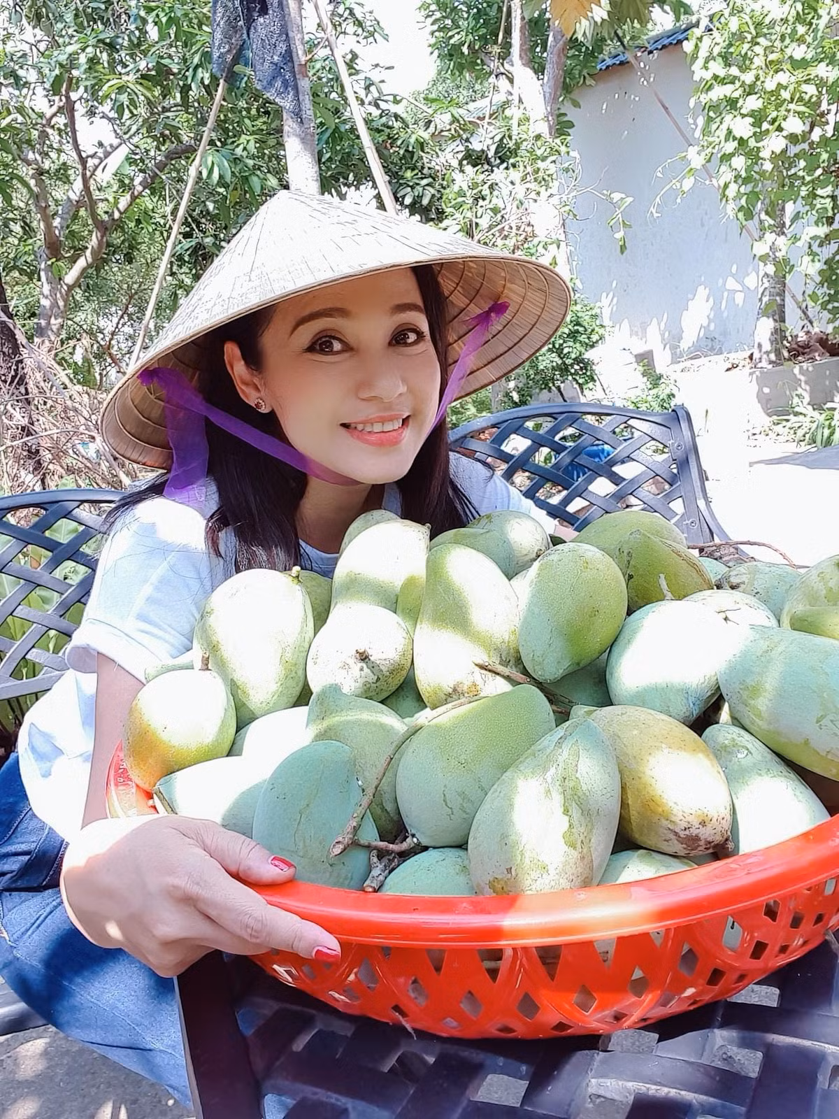 Những trái xoài to, căng mọng trông thích mắt. Ảnh: FB Trần Việt Trinh
