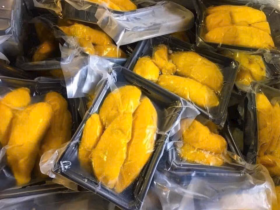 Musang King được mệnh danh là sầu riêng ngon nhất thế giới, có giá vô cùng đắt đỏ. Khi mới xuất hiện tại Việt Nam, cơm sầu riêng Musang King đông giá 1,4-1,8 triệu đồng/kg, gấp 4-5 lần so với các loại cơm sầu riêng Việt. Ảnh: Facebook