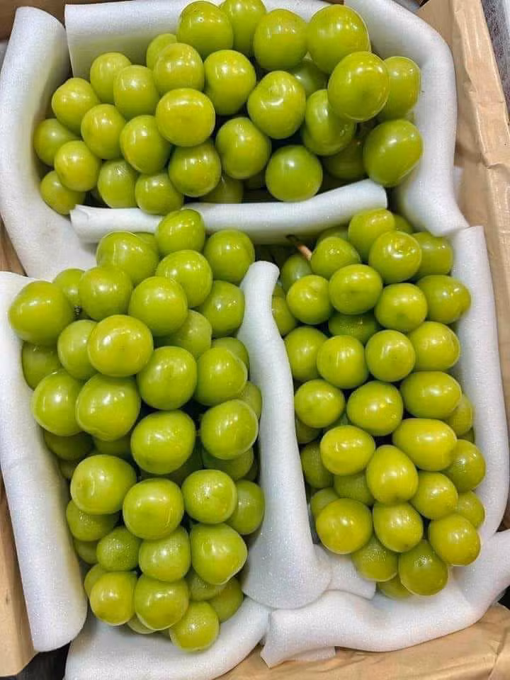 Mỗi chùm nho sữa Trung Quốc nặng từ 1-1,5kg, quả to, căng bóng, ngọt thơm, giá lại rẻ nên rất hút khách. Ảnh: Facebook