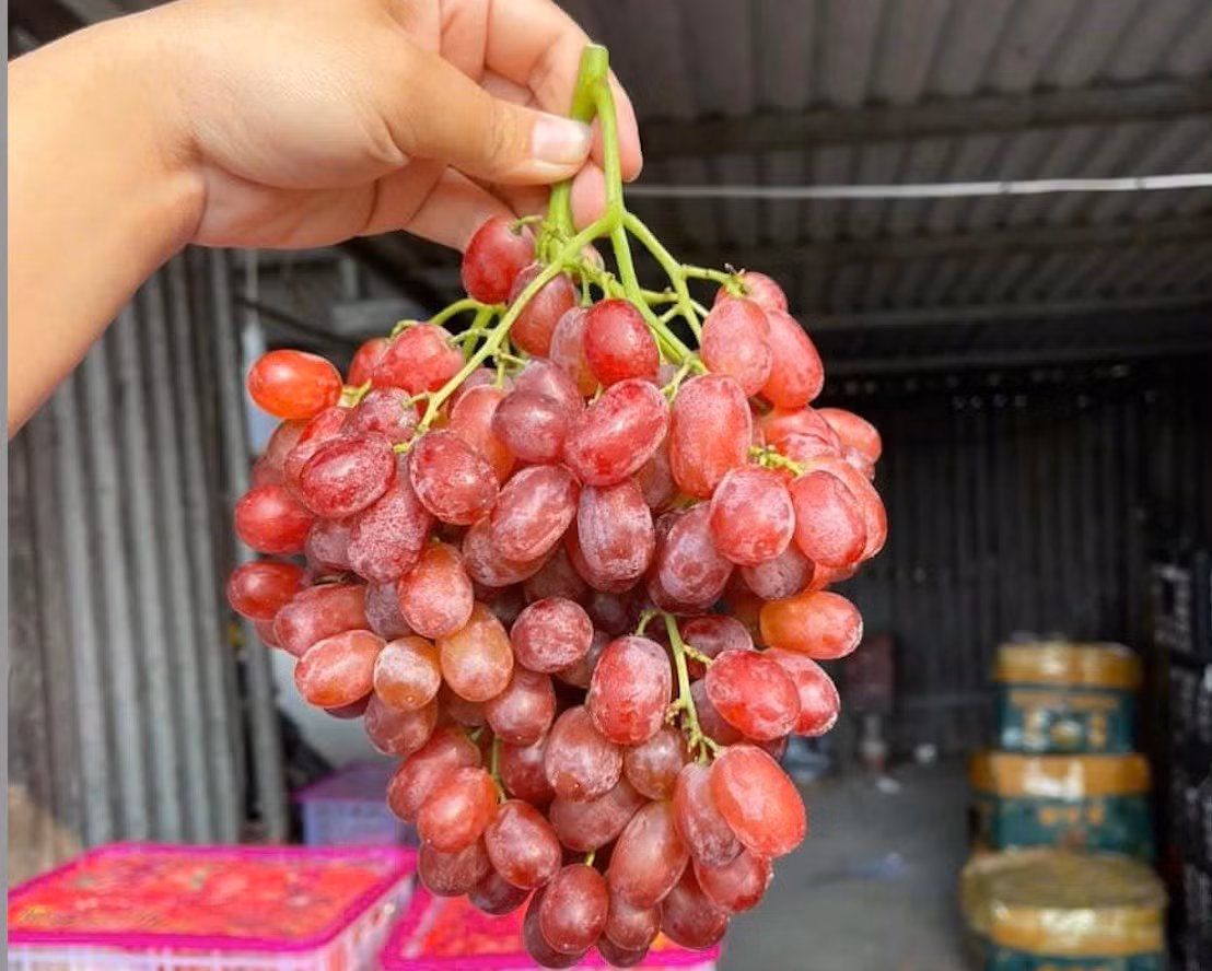 Theo các chuyên gia dinh dưỡng, người tiêu dùng nên ưu tiên trái cây trong nước, đúng mùa và rõ nguồn gốc. Ảnh: Facebook