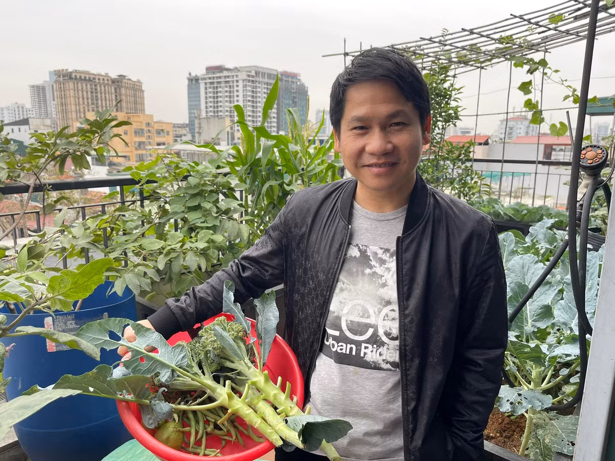 Trọng Tấn trồng rau theo mùa, cung cấp thực phẩm sạch cho gia đình. Ảnh: FB Trọng Tấn