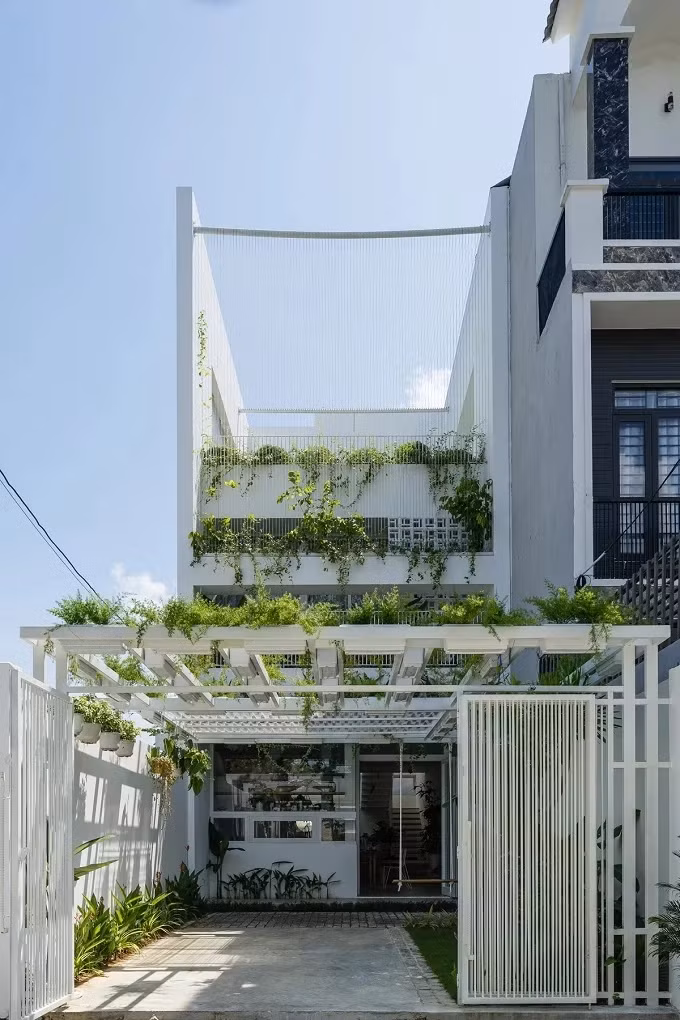 Do đó, trồng cây xanh hợp phong thủy trong nhà sẽ giúp mang đến nguồn sinh khí, cải thiện tài vận cho gia chủ. Ảnh: Kientaoviet