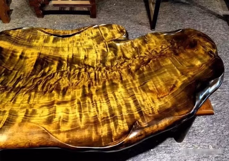 Trong vực núi sâu, có một loại gỗ quý hiếm được mệnh danh "báu vật trong rừng", đó là nanmu vàng. Ảnh: Sohu