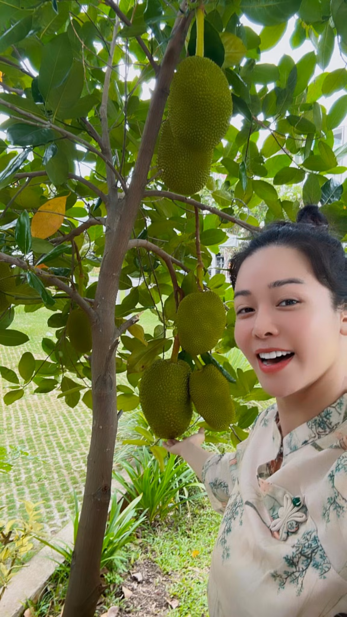 Trong vườn, Nhật Kim Anh trồng nhiều cây ăn trái như mít, dưa hấu, khế.... Ảnh: FB Nhật Kim Anh
