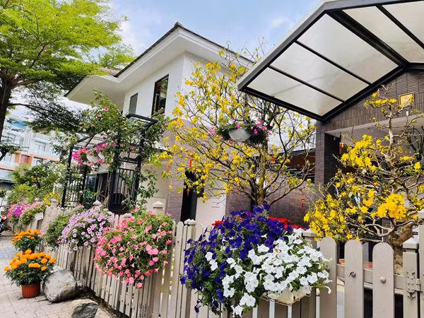 Tết đến, hàng rào biệt thự phủ đầy sắc hoa rực rỡ. Ảnh: FB Nhật Kim Anh